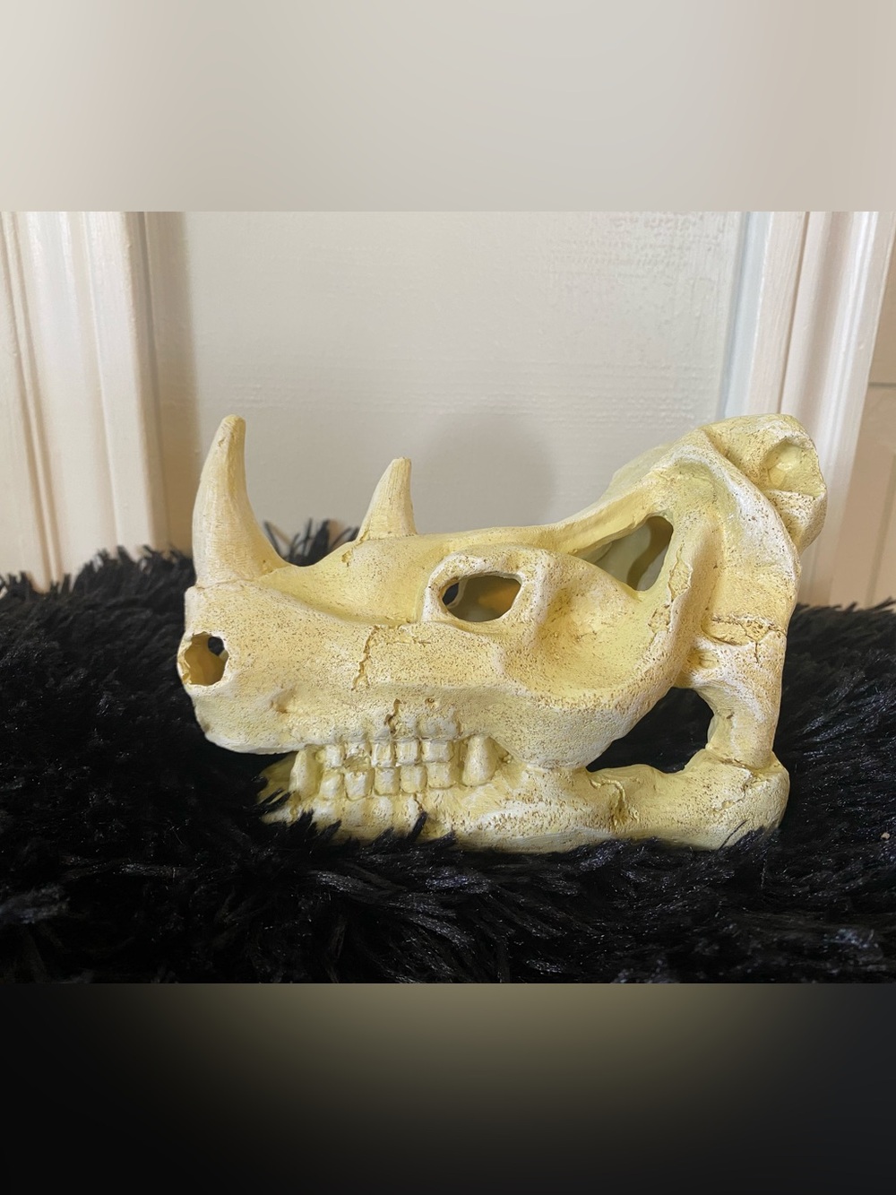 Reptile Skull Hide